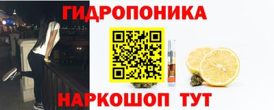 гидра Пенза