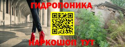 гидра Пенза