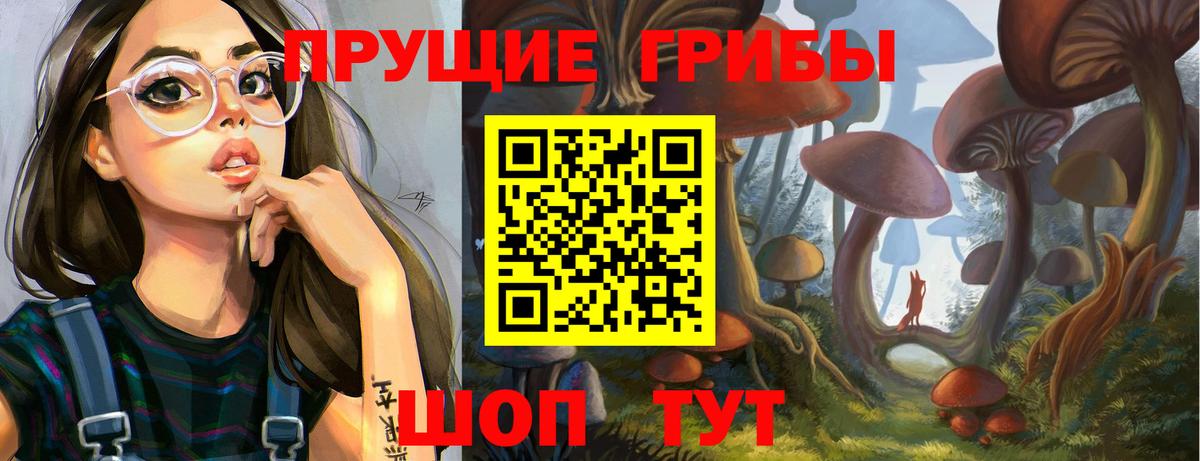 где найти   Вход с VPN  Арзамас  Псилоцибиновые грибы GOLDEN TEACHER  Галлюциногенные грибы Psilocybe 